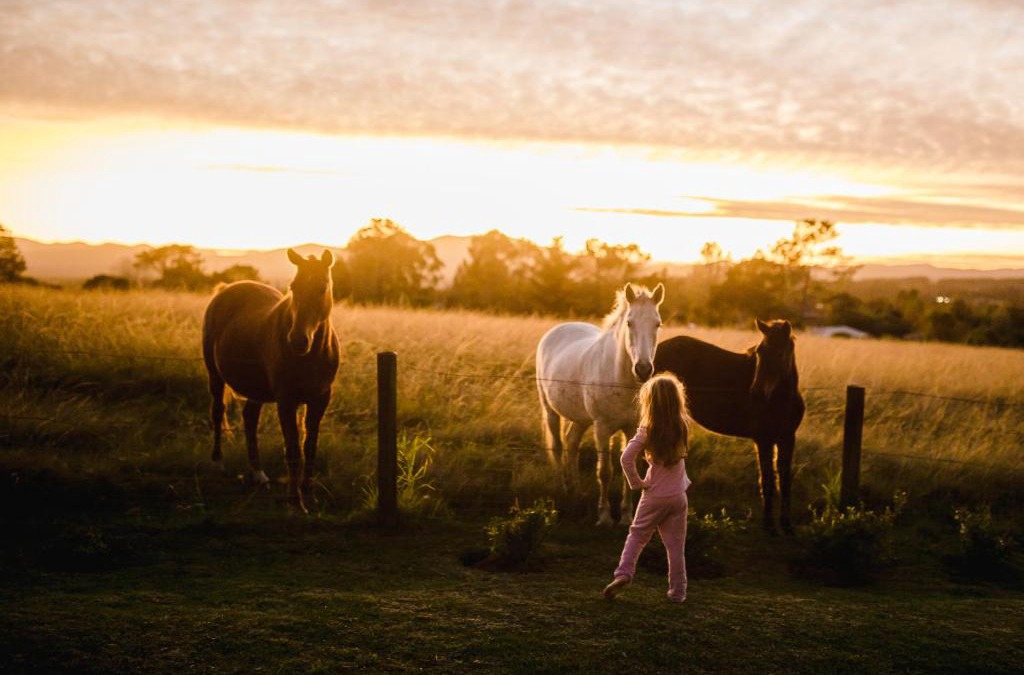 Rheenendal House | Fernhill Guest Farm