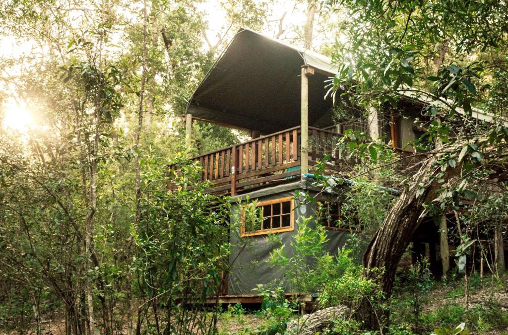 Knysna Other | Fernhill Tented Treehouses