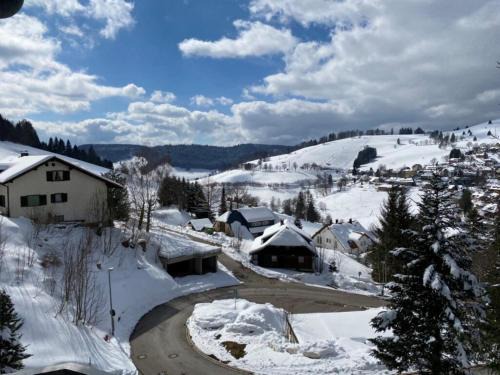 Todtnauberg Apartment | Fewo Herzgrün - zu Fuß zu Lift & Loipe traumhafte Aussicht mit Sauna im Haus Tiefgarage E-Ladestation
