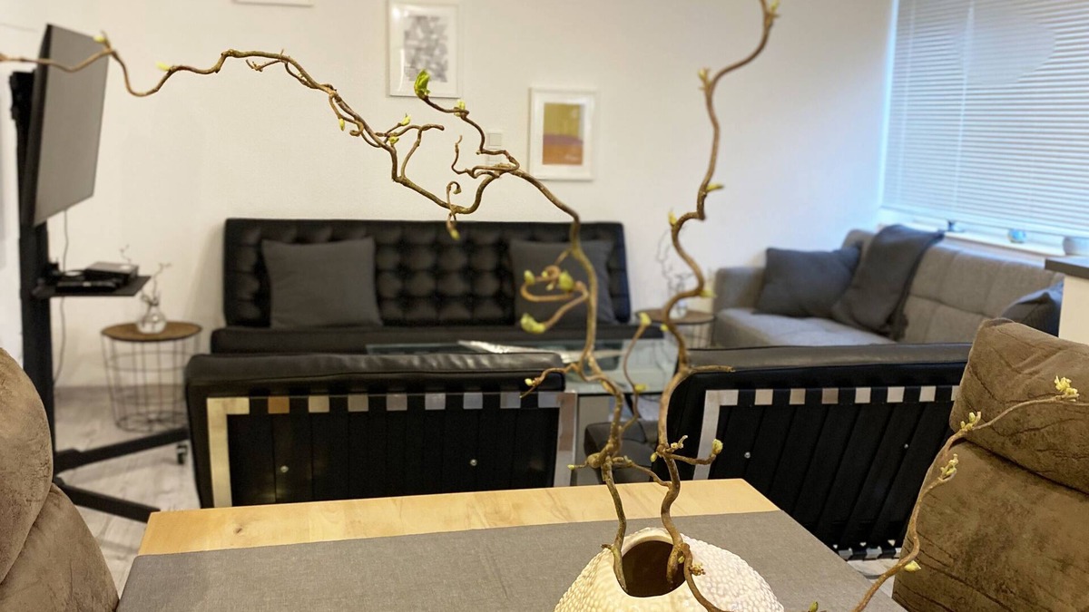 Brauneberg Apartment | Fewo Sonnenlay