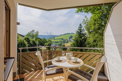 Todtnauberg Apartment | Fewo Tannzäpfle - Nähe Skilift und Loipe Balkon mit Traumblick Sauna im Haus Tiefgarage E-Ladestation
