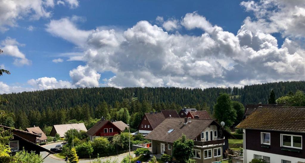 Schulenberg im Oberharz Apartment | FeWo Waldblick Schulenberg im Oberharz