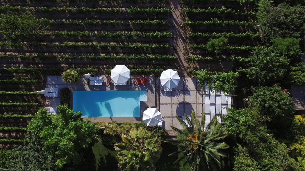 Chacras de Coria House | Finca Adalgisa