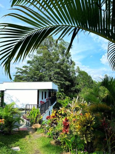 Montenegro House | Finca El Bazar