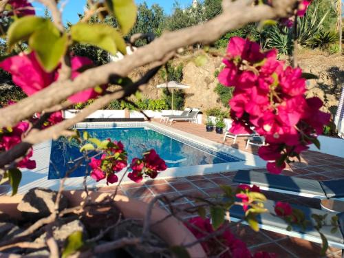 Cartama Bed & Breakfast | Finca Flamenco Holiday Suites Adults Only