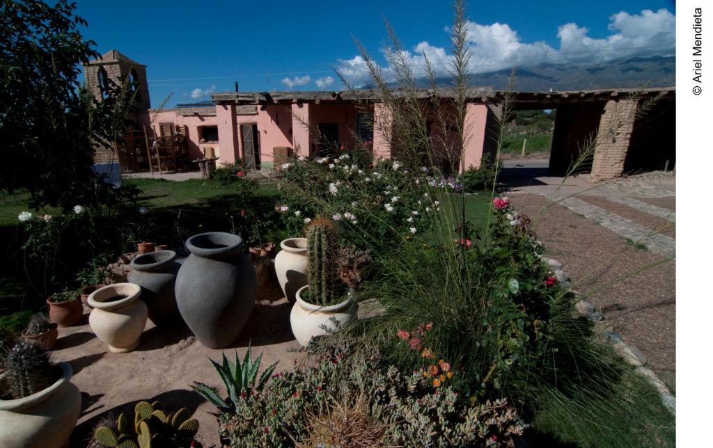 Famatina Hotel | Finca Huayrapuca
