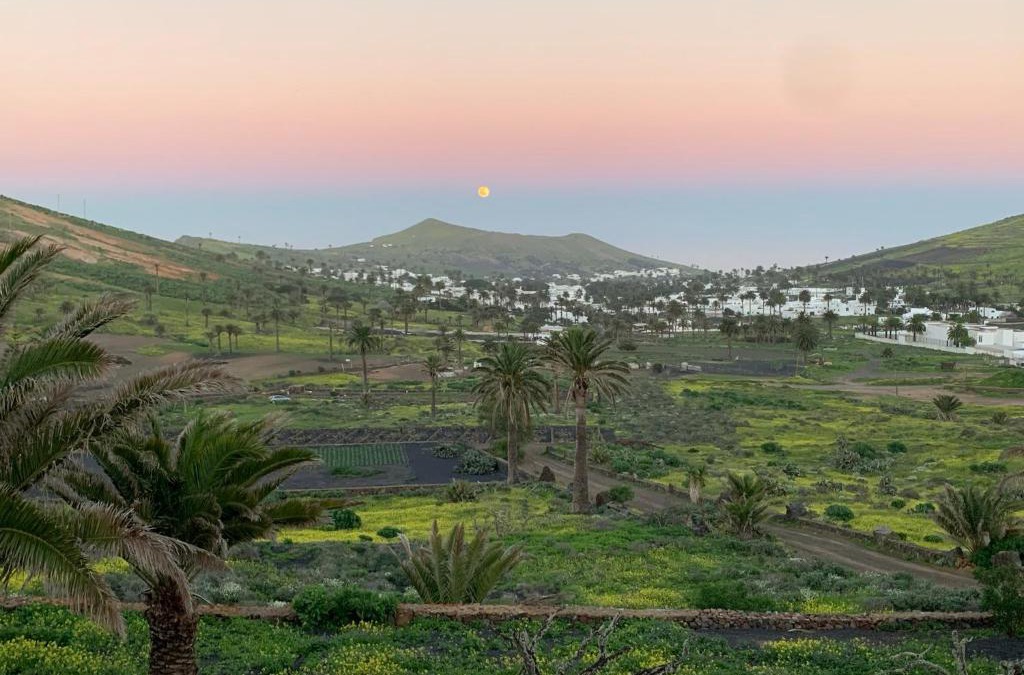 Haria Resort | Finca La Fuentecilla