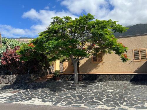 Frontera House | Finca Morales
