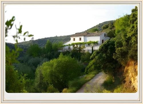 Villanueva del Arzobispo House | Finca Rústica La Pájara