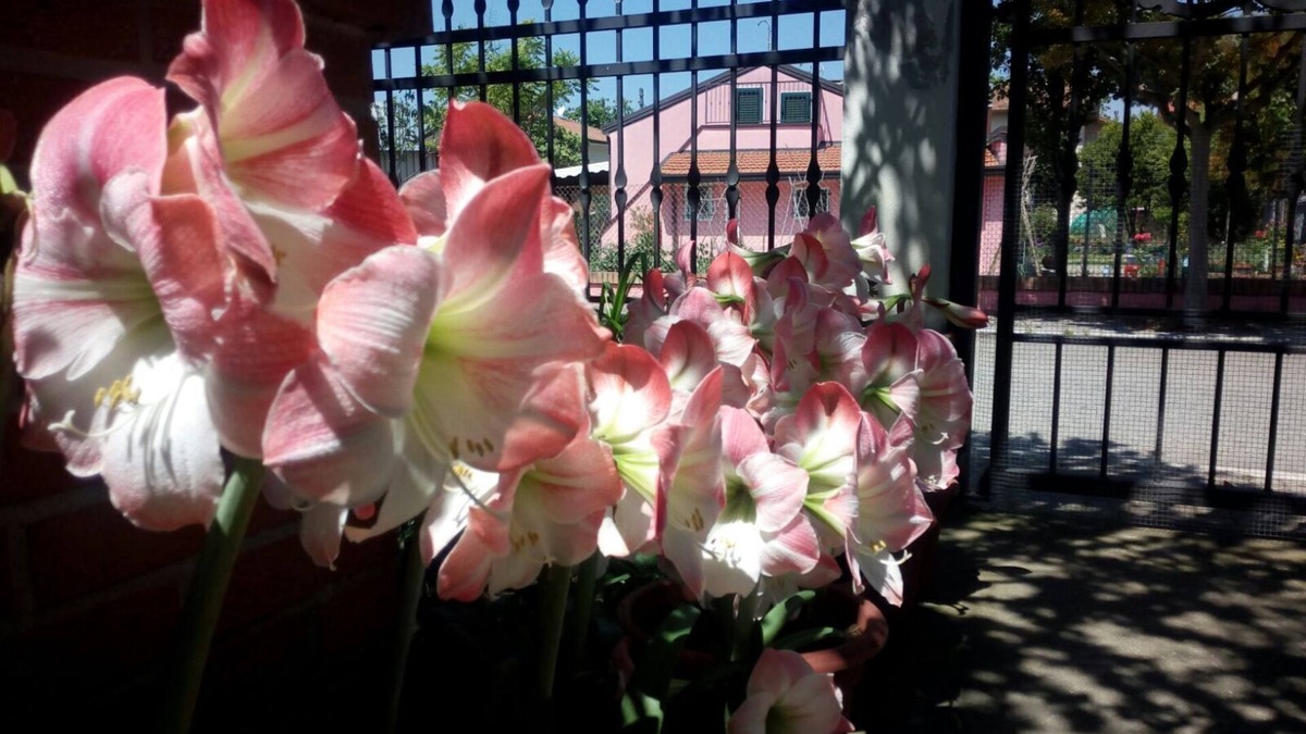 San Mauro a Mare Apartment | First floor 80sqm apartment