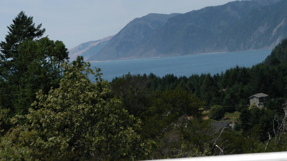 Shelter Cove House | Fish on! Tuna are here! Boat parking hot tub and bbq. Pet friendly sleeps 6