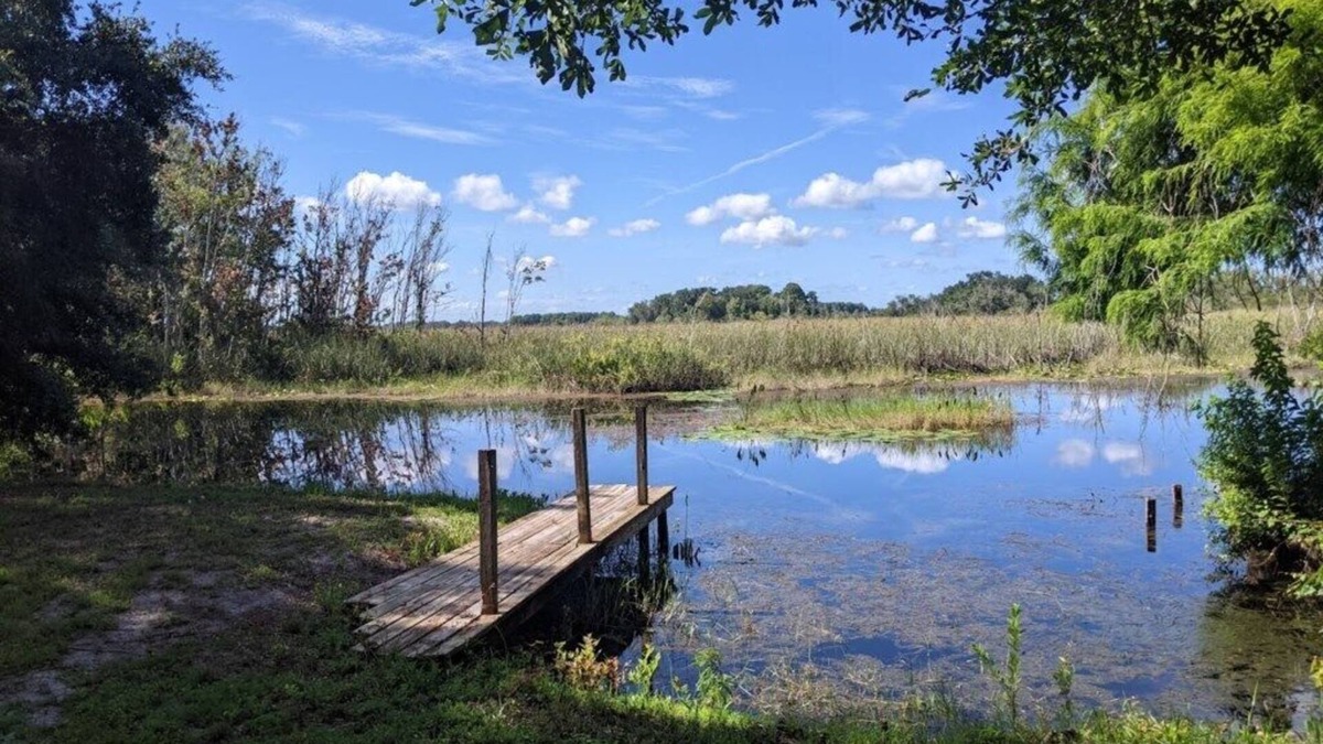 Hernando House | Fisherman's dream