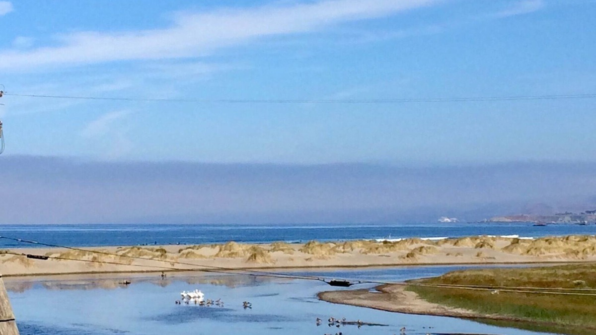 Salmon Creek Cabin | Fishermans Cottage~Warm&Cozy Seaside Cottage in Bodega Bay,Walk to Beach/WiFi