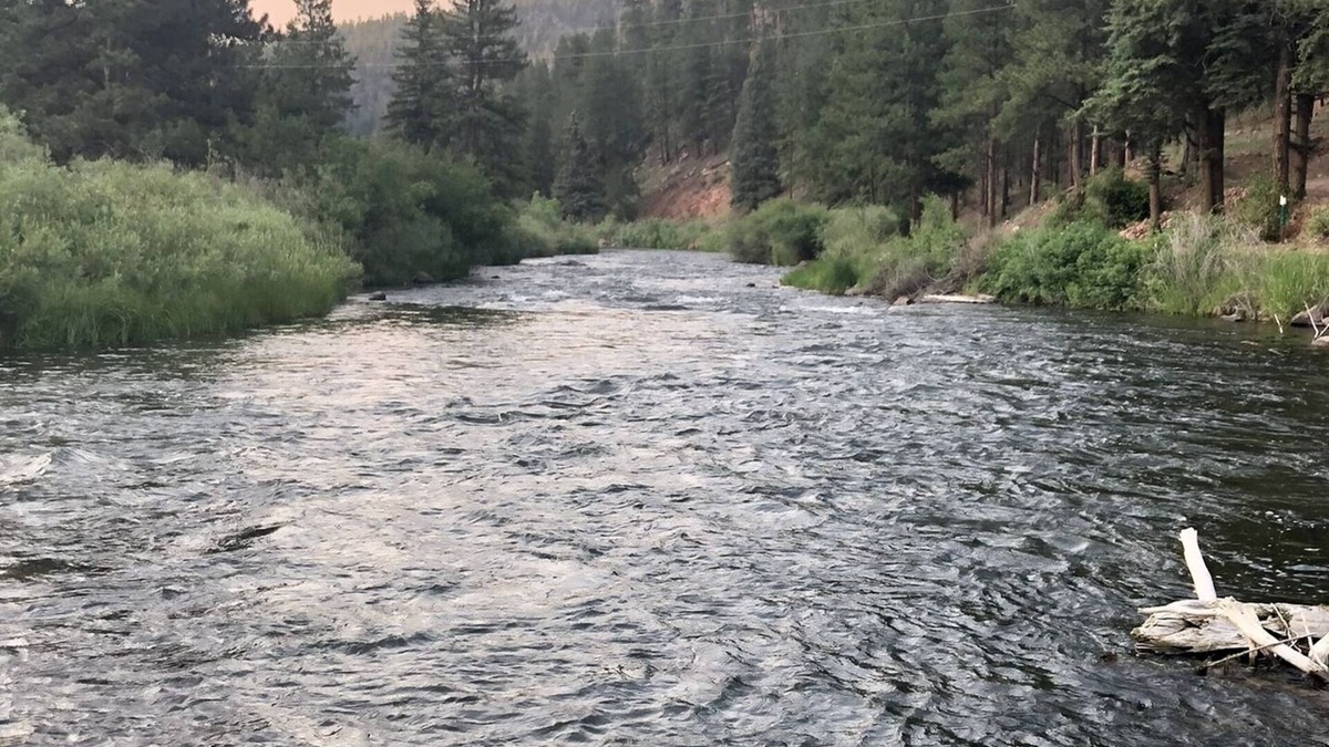 Lake George Cabin | “Fisherman’s Paradise – Cozy Log Cabin Near Gold Medal River, Forest Views”