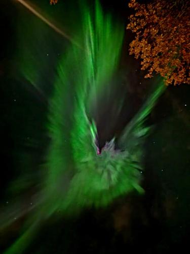 Torsken Apartment | Fishermens House, 3 bedrooms apartment near the sea Medby Senja