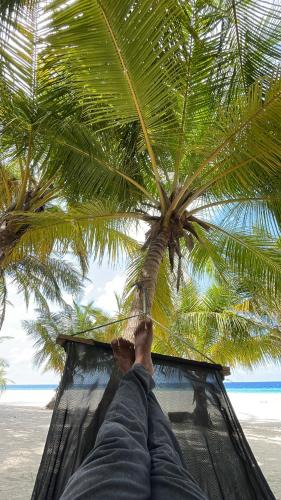 Utheemu House | Fishing in Maldives