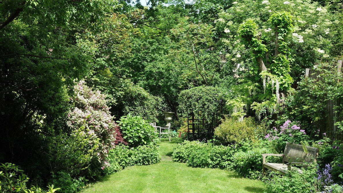 Belsize Apartment | Five Star Super-host Belsize Garden Apt