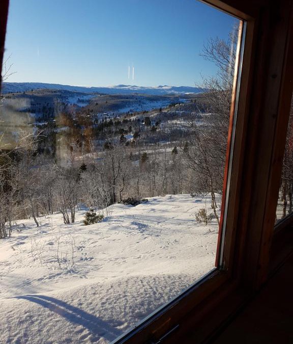 Al Municipality House | Fjellbu Two-bedroom Cottage