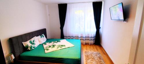 Center Apartment | Flamingo Apartment Sibiu