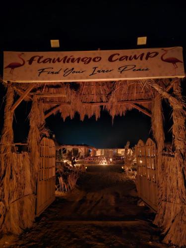Al Fayoum Other | flamingo camp