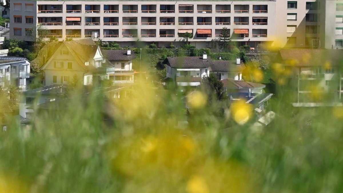 Weggis Apartment | Flat Alpenblick/C1