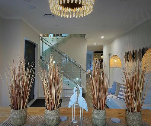 Flat Bush House | Flat Bush Holiday Accomodation
