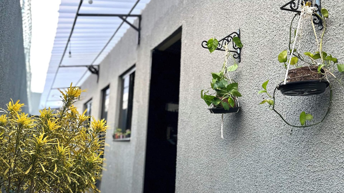 Plano Diretor Sul House | Flat Davisis - Parada do Jalapão