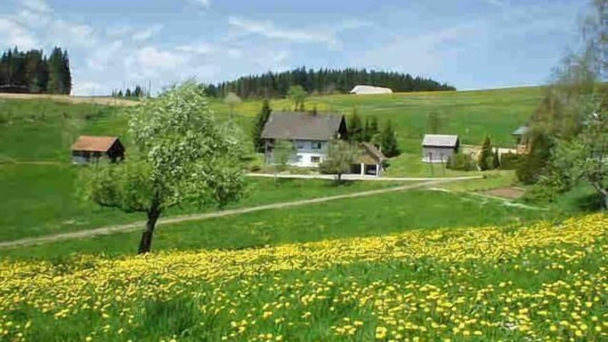 Schwarzenbach Apartment | Flat with garden in Schwärzenbach