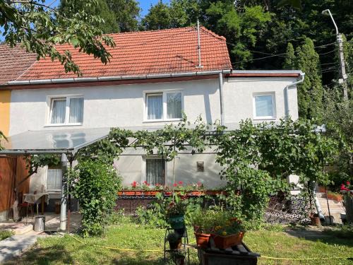 Sighisoara Apartment | FLH - Casa Gheti