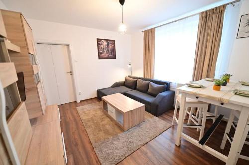 Sibiu Apartment | FLH - The Great Novel
