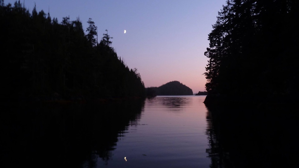 Gold River House | Floating Lodge - In the Heart of Nootka Sound Fishing Hot Spots