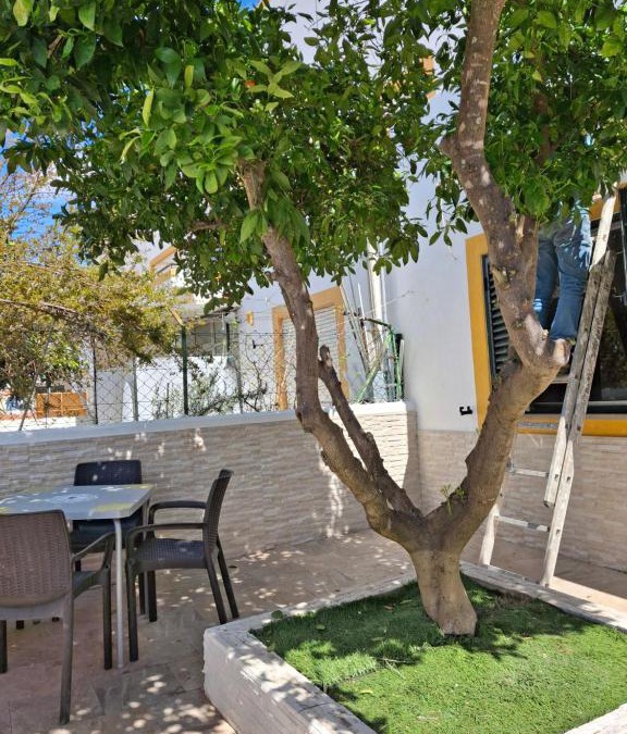 Mertola House | Flor de Laranjeira