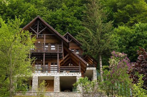 Sinaia House | Florile Bucegilor