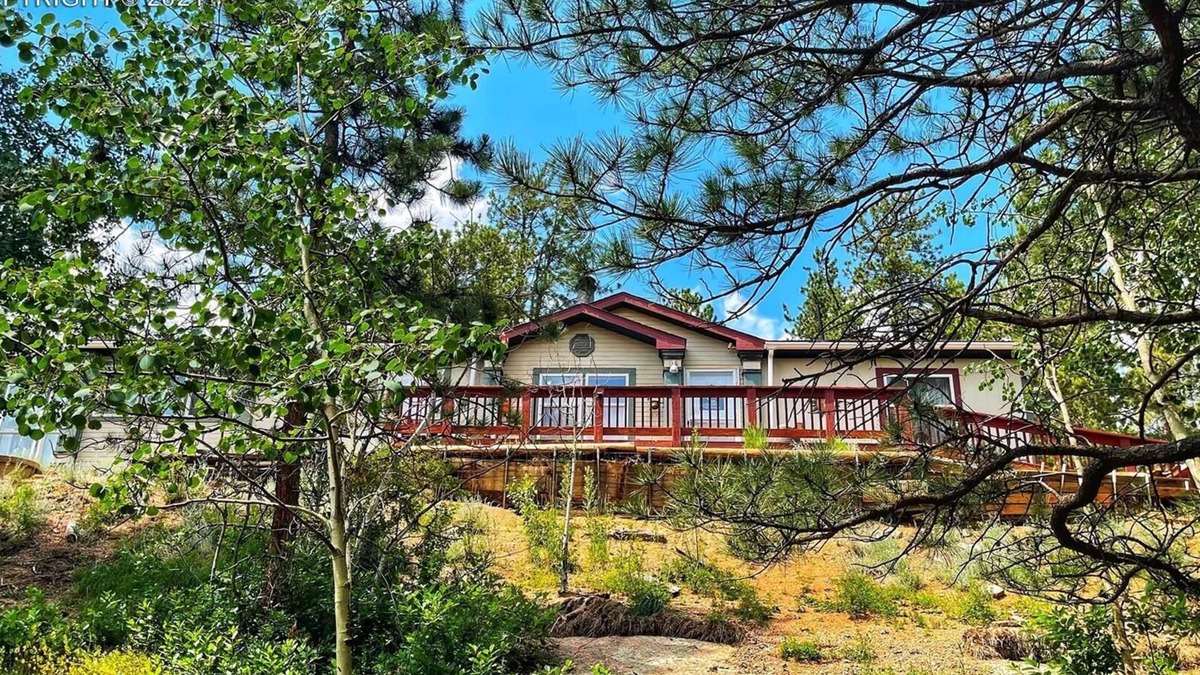 Divide Cabin | Forest cabin on 4 acres, Newly renovated, Quiet and secluded.