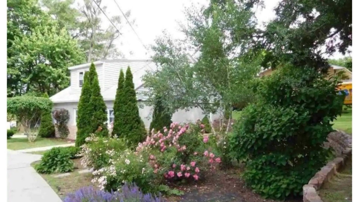 Bellevue House | Forest Cottage Peaceful Acreage