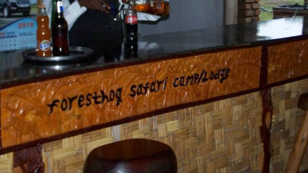 Kasese Cabin | Forest Hog Safari Lodge