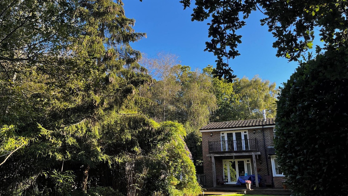 Arundel House | Forest House Arundel. Sleeps 12. Two nights minimum stay