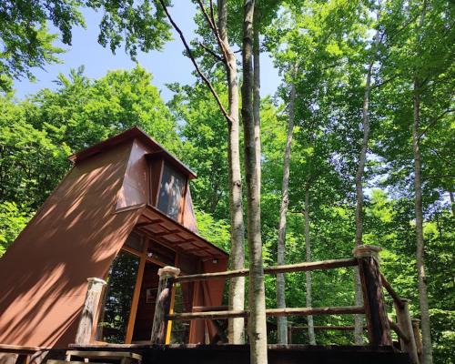 Kolasin Municipality Apartment | Forest House Paradise