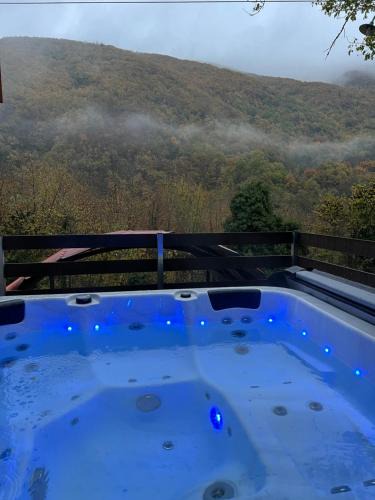 Makrakomi Ski Chalet | Forest view Aggeliki