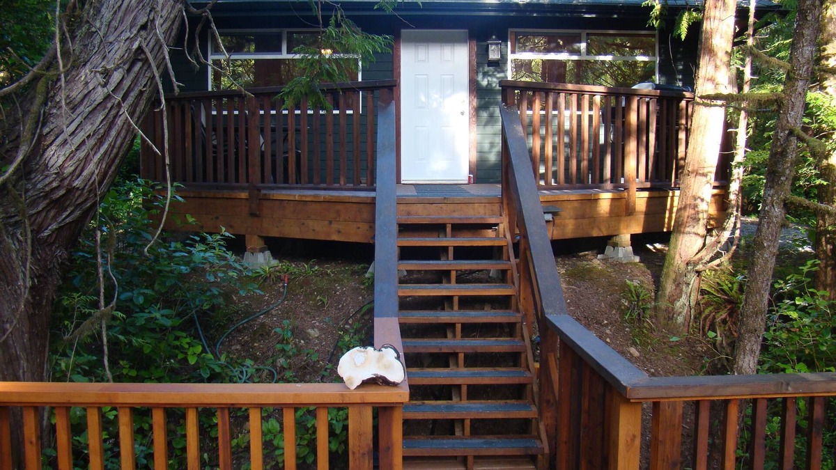 Tofino Cabin | Forest View Cabin located across from Cox Bay Beach