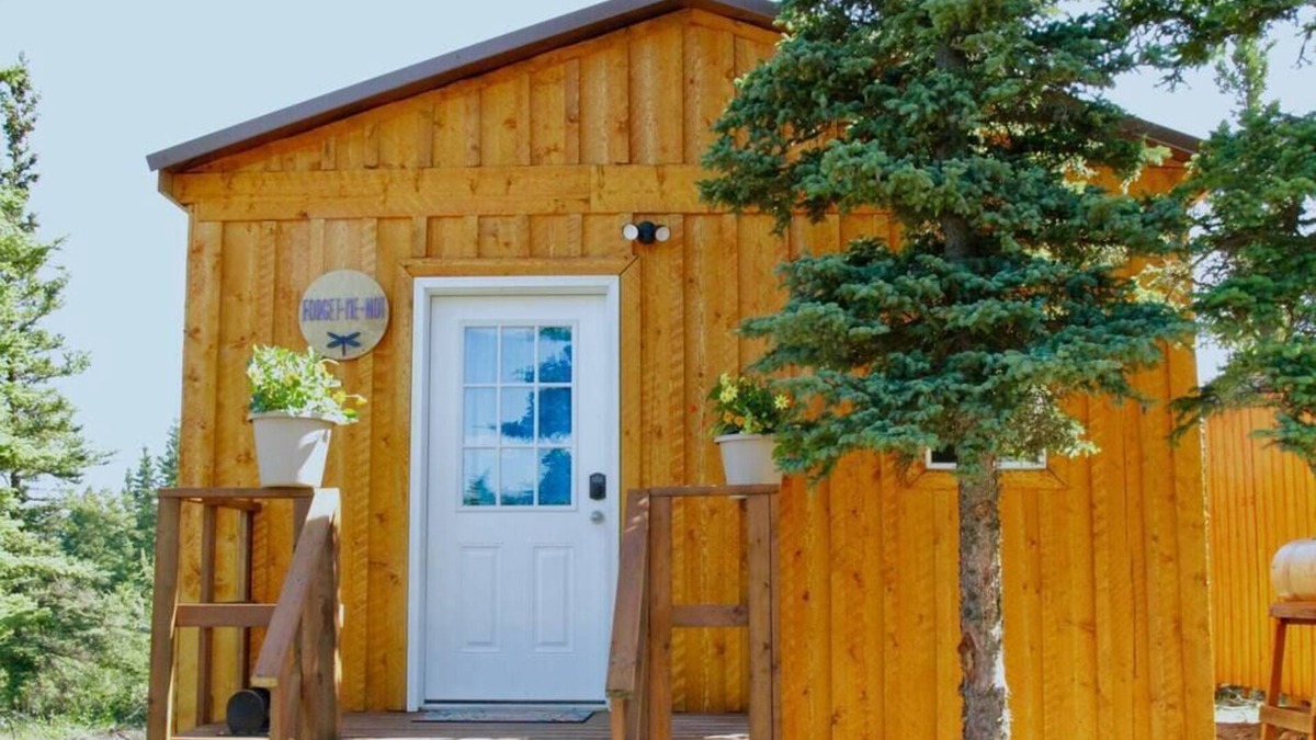 Healy Cabin | Forget Me Not Cabin -Arctic Dragonfly Inn