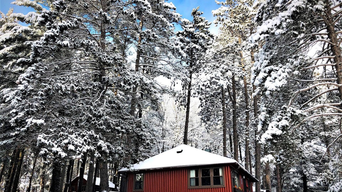 Arbor Vitae Cabin | Four Season Three Bedroom Cabin with private dock, firepit, kayaks/paddle boards