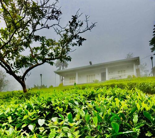 Pirmed House | Four Winds Plantation Homestay Approved by Dept of Tourism Govt of Kerala