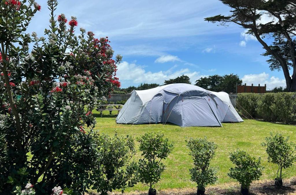Foxton Beach Other | Foxton Beach Holiday Park - Camping