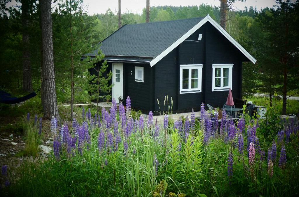 Arvika House | Fröya Timber Cottage