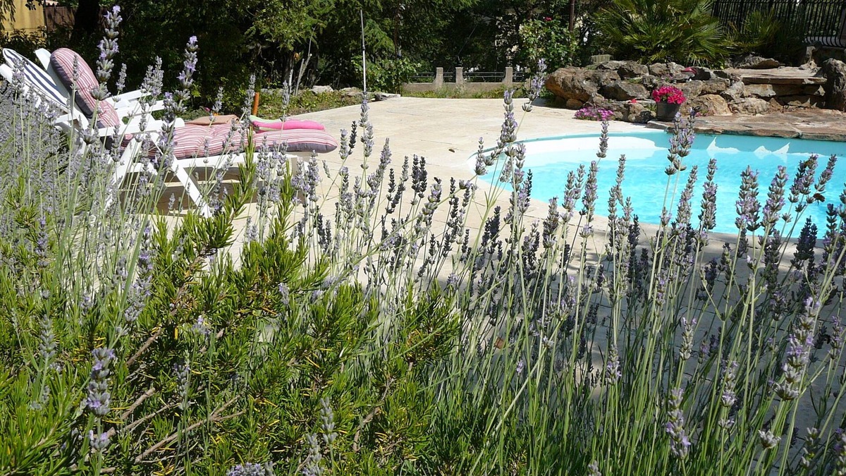 Saint-Maximin-la-Sainte-Baume House | Shed beautiful Provence with pool and garden
