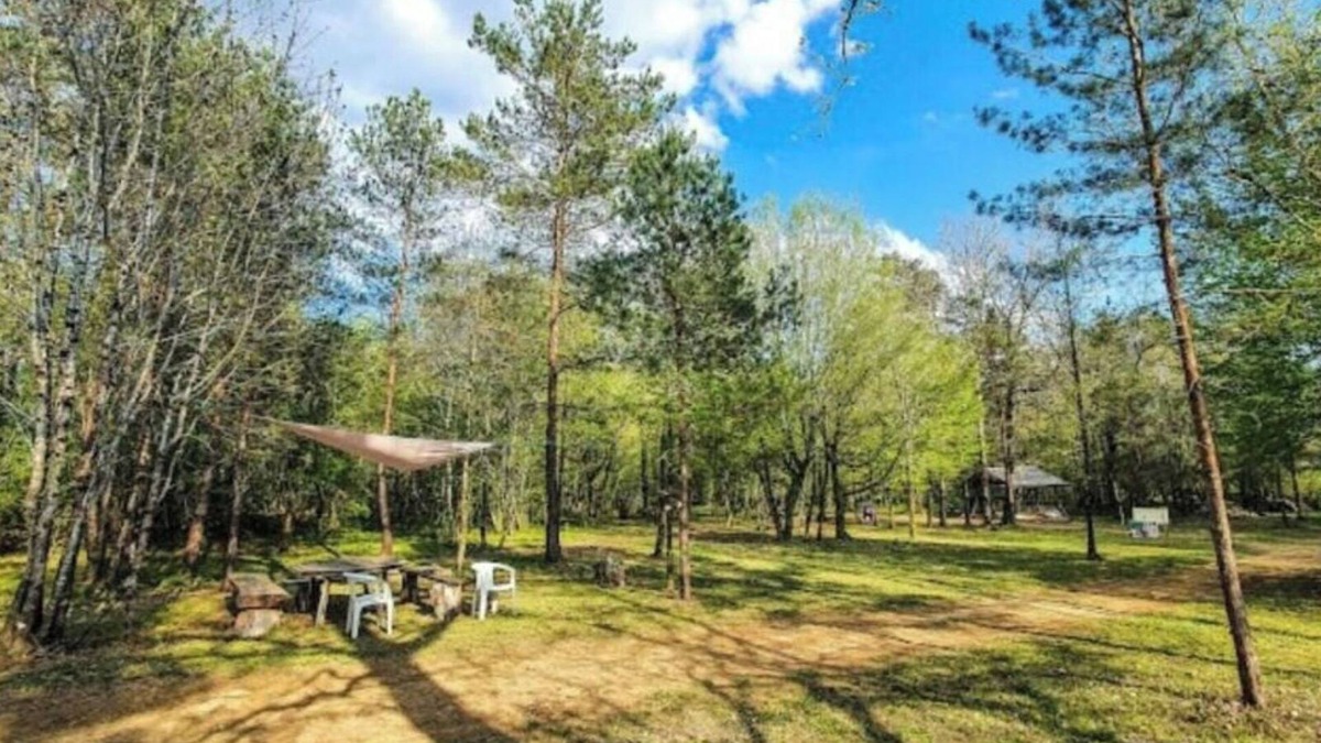 Sorges-et-Ligueux-en-Perigord House | Gîtes & Holiday homes (5 C)