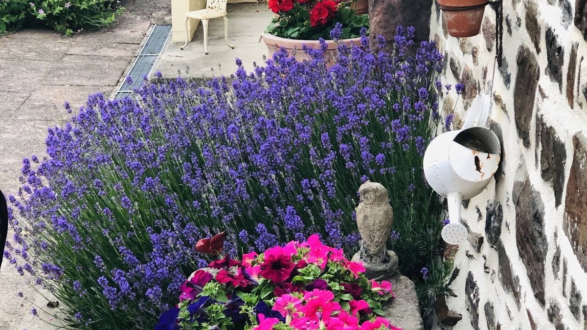 Tinchebray-Bocage Bed & Breakfast | Frenes B & B