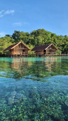 Raja Ampat Cabin | Friwen Mangrove Eco Lodge