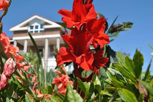 San Vicente de la Barquera Hotel | Fuente el Hayedo